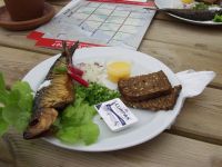 Smoked herring